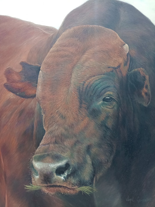 A Bull Portrait - Hercules Canvas on Oil - kmnk deco